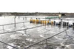 Ao nuôi tôm mô hình siêu thâm canh. (Ảnh: Tuấn Kiệt/TTXVN)