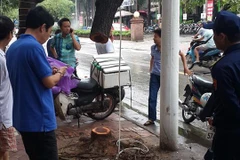 Cây Sưa đỏ bị cưa trong đêm mưa (Ảnh: Beat.vn) 