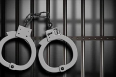 Ảnh minh hoạ (Nguồn: Internet) 