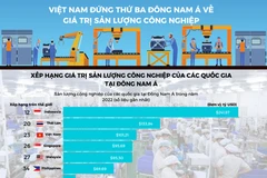 Việt Nam đứng thứ ba Đông Nam Á về giá trị sản lượng công nghiệp