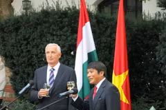 Đại sứ Nguyễn Thanh Tuấn và Quốc vụ khanh Istvan Mikola. (Nguồn: Vietnam+)
