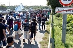 Người tị nạn tuần hành trên đường cao tốc ở Hungary. (Nguồn: rte.ie)