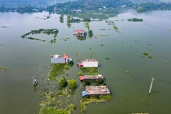 Hà Nội: Nhiều nhà dân tại huyện Mỹ Đức vẫn chìm trong biển nước 