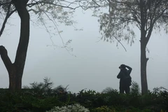 Sương mù dày đặc bao phủ khắp Hà Nội. (Ảnh: Hùng Võ/Vietnam+)