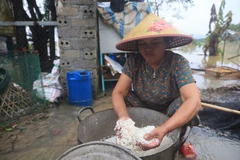 Cuộc sống khốn khó của người dân Chương Mỹ trong đợt lụt thứ hai liên tiếp