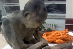 Phát hiện xác ướp nhà sư ngồi thiền theo tư thế hoa sen ở Mông Cổ