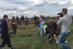 Nữ quay phim người Hungary cố ý ngáng chân khiến hai cha con người tị nạn bị ngã. (Nguồn: DM)