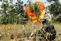 Quân đội Colombia đã ném bom tiêu diệt 18 phần tử FARC
