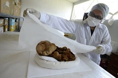 Phát hiện xác ướp gần nguyên vẹn của em bé 1.000 năm tuổi