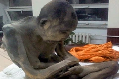 Phát hiện kinh ngạc về xác ướp nhà sư ngồi thiền tư thế hoa sen