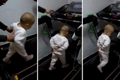 Bé...17 tháng tuổi bị bố mẹ thúc giục trên máy chạy bộ 