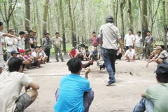 Đắk Nông: Khởi tố vụ án và bắt tạm giam 9 đối tượng đánh bạc