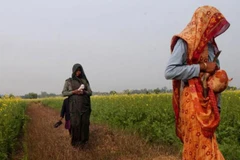 Ảnh minh họa. (Nguồn: thequint.com)