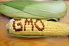 (Nguồn: sputniknews)