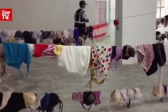 Tên trộm bệnh hoạn ăn cắp hơn 1.000 đồ lót phụ nữ bị bắt