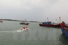 (Ảnh minh họa: Nguyễn Văn Nhật/TTXVN)