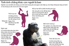 [Infographics] Hành vi của tinh tinh chẳng khác gì con người