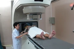 (Ảnh minh họa: Phương Vy/TTXVN)