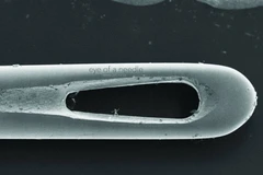 Tác phẩm điêu khắc siêu nhỏ có thể chui lọt lỗ kim... đã bị vỡ