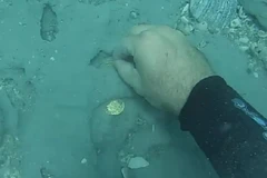 Những đồng tiền xu vàng được tìm thấy. (Nguồn: abcnews)