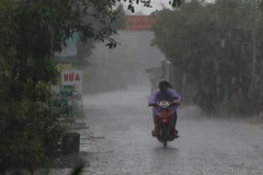 Mưa lớn ngày 30/4 trên địa bàn huyện Long Mỹ, Hậu Giang. (Ảnh:Duy Khương/TTXVN)