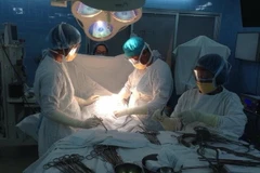 Ảnh chỉ có tính minh họa. (Ảnh: TTXVN phát)