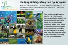 [Infographics] Cảnh báo đa dạng sinh học đang tiếp tục suy giảm