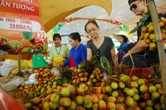 Lễ hội trái cây Nam Bộ năm 2017. (Ảnh: Mạnh Linh/TTXVN)
