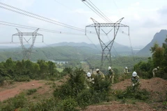 Kiểm tra, phát quang hành lang an toàn lưới điện 500kV trên địa bàn huyện Quảng Ninh, tỉnh Quảng Bình. (Ảnh: Ngọc Hà/TTXVN)