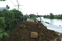 Theo báo cáo nhanh của huyện Nga Sơn, trong sáng 11/8, tại vị trí Km6+570m đến Km6+690m đê tả sông Càn qua xã Nga Điền đã xảy ra sự cố sụt lún, sạt trượt, nứt mặt, thân đê và mái đê phía sông. (Ảnh: Hoa Mai/TTXVN)