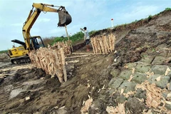 Khắc phục sạt lở đê biển ở thị xã Vĩnh Châu, Sóc Trăng. (Ảnh: Trung Hiếu/TTXVN)