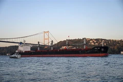 Tàu chở ngũ cốc di chuyển dọc Eo biển Bosphorus, ở Istanbul, Thổ Nhĩ Kỳ, ngày 2/11/2022. (Ảnh: AFP/TTXVN)