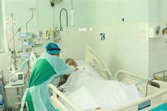 (Ảnh minh họa: Đinh Hằng/TTXVN)