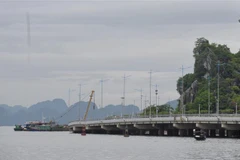 (Ảnh minh họa: Thanh Vân/TTXVN)