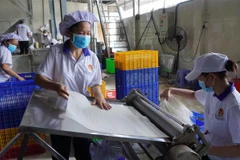 Sản xuất sản phẩm sau gạo tại Cơ sở Thực phẩm Phú Khang 2, thành phố Sa Đéc, tỉnh Đồng Tháp. (Ảnh: Nhựt An/TTXVN)