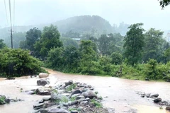 (Ảnh minh họa: TTXVN phát)