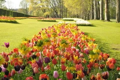 [Photo] Độc đáo lễ hội hoa Xuân Brussels năm 2014