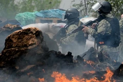 Đức đề xuất các bên cùng đến các điểm nóng tại Ukraine