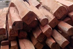 (Ảnh minh họa: Hồ Cầu/TTXVN)