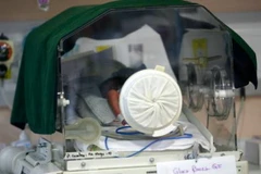 Pháp phát hiện vi khuẩn lạ gây tử vong ở trẻ sơ sinh