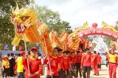 (Ảnh minh họa: Nguyễn Thanh/TTXVN)