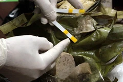 Hà Nội: 2 mẫu giò chả có lượng chất bảo quản vượt mức