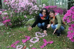 Số du khách qua eo biển Đài Loan tăng cao kỷ lục