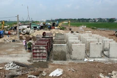 (Ảnh minh họa: Huy Hùng/TTXVN)