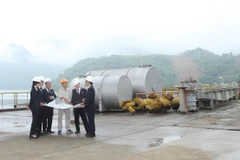 Ảnh minh họa. (Nguồn: PV/Vietnam+)