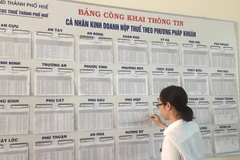 Ảnh minh họa. (Nguồn: Vietnam+)