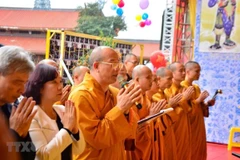 Ảnh minh họa. (Nguồn: TTXVN)