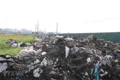 (Ảnh minh họa: TTXVN)