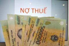 Ảnh minh họa. (Nguồn: Vietnam+)