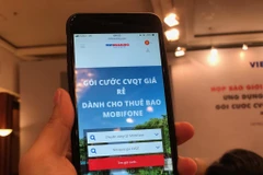 Ảnh minh họa. (Nguồn: Vietnam+)